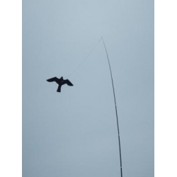 Paukščių baidyklė ,aitvaras "Vanagas"155cm+teleskopinis kota...